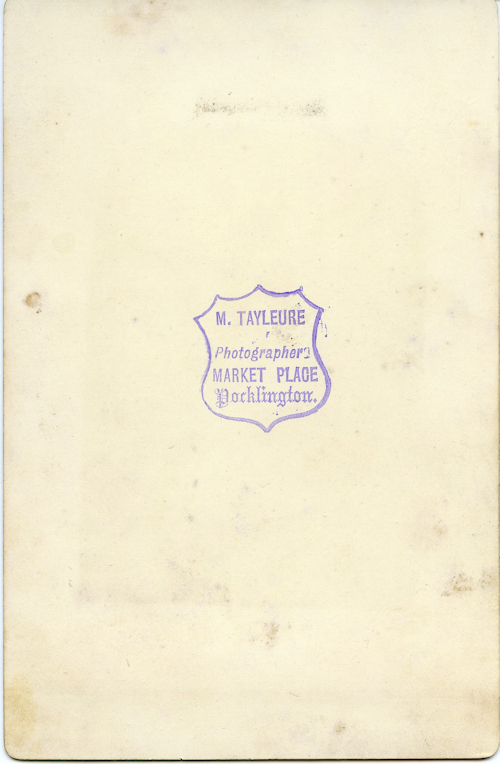 Tayleure Cabinet 2 back